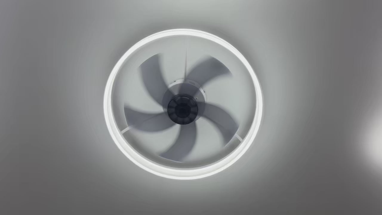 Modern Ring Ceiling Fan Lamp